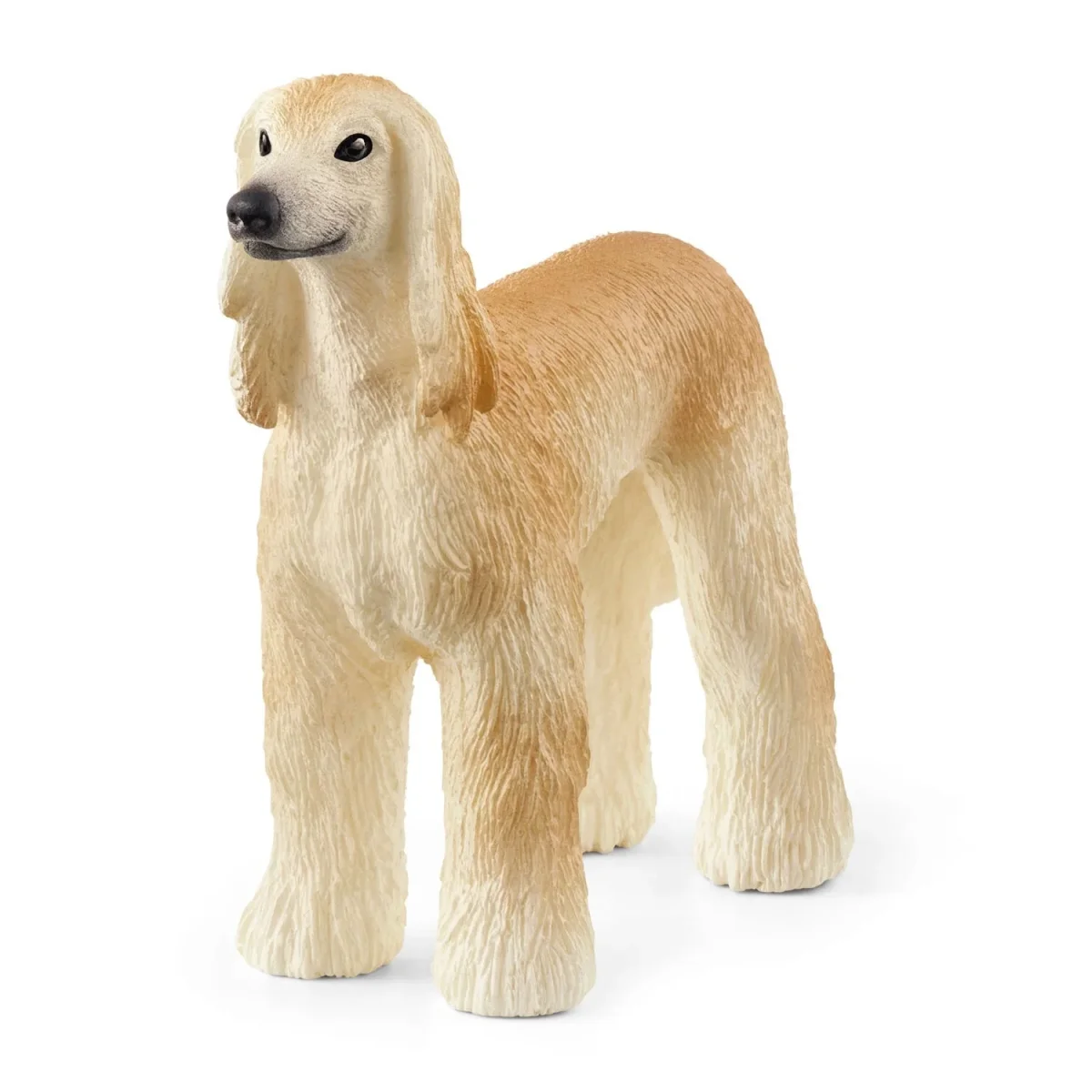 Windhund – Bild 2