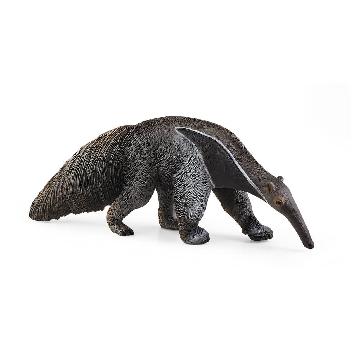 Ameisenbär – Bild 2