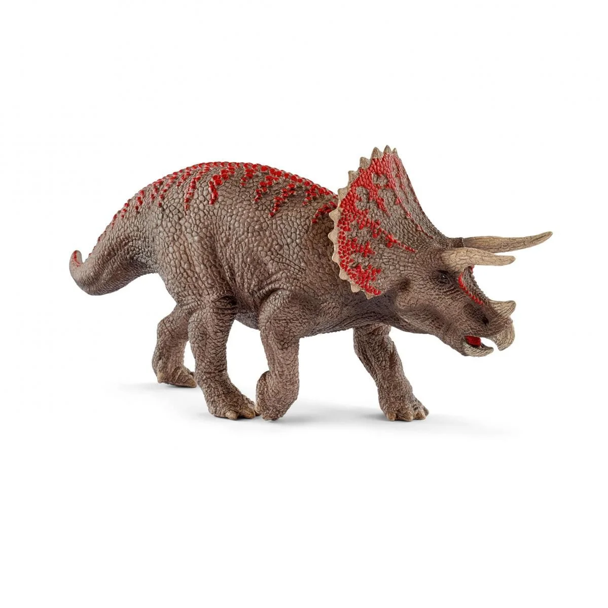 Triceratops – Bild 2
